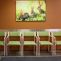 Alastek referenssi Turun kaupunginsairaala Ote-tuolit, erikoiskalusteet, terveydenhuollon kalusteet